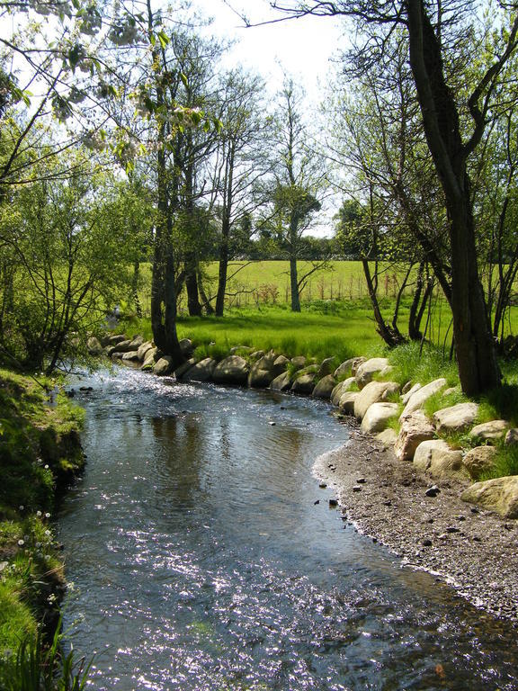 Riverfield Bed And Breakfast Горі Екстер'єр фото