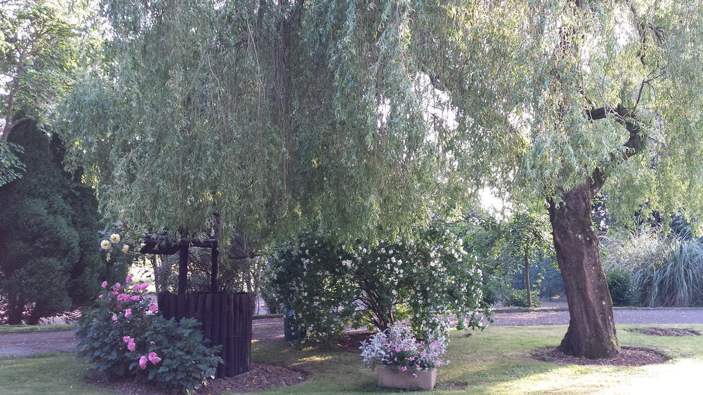 Riverfield Bed And Breakfast Горі Екстер'єр фото