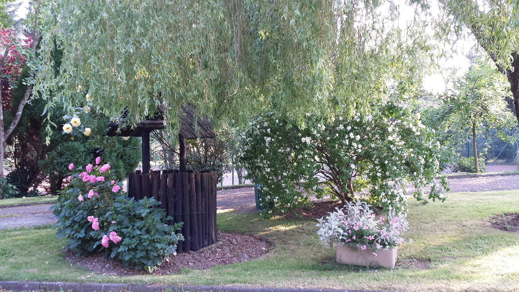 Riverfield Bed And Breakfast Горі Екстер'єр фото
