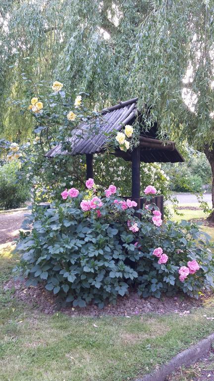 Riverfield Bed And Breakfast Горі Екстер'єр фото