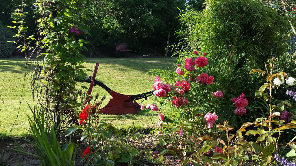 Riverfield Bed And Breakfast Горі Екстер'єр фото